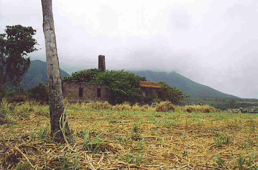 St. Kitts sugar plantation ruins.