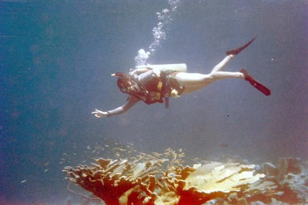 Lynn dives off Miami, circa 1978